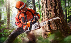 Stihl Chainsaw