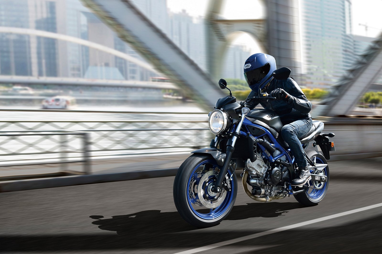 SV650AM1_action01